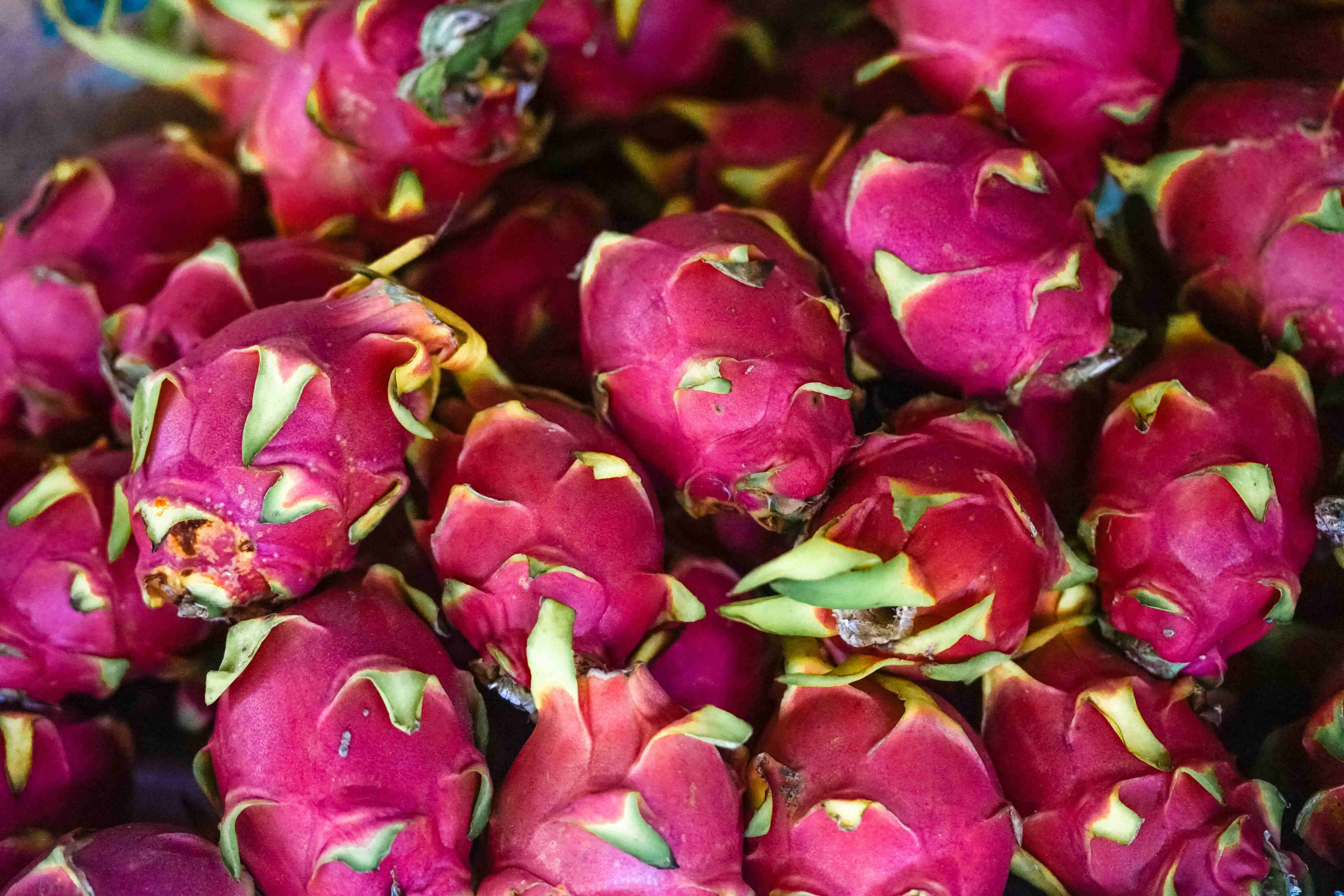 Dragon Fruit